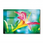 Flower Pictures Tempered Glass Kitchen Backsplash