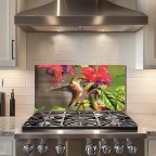 Kitchen Backsplash Hummingbird Tempered Glass