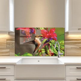 Kitchen Backsplash Hummingbird Tempered Glass Kitchen Backsplash Hummingbird Tempered Glass