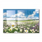 Wild Flower Tempered Glass Kitchen Backsplash